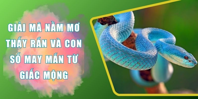 nằm mơ thấy rắn